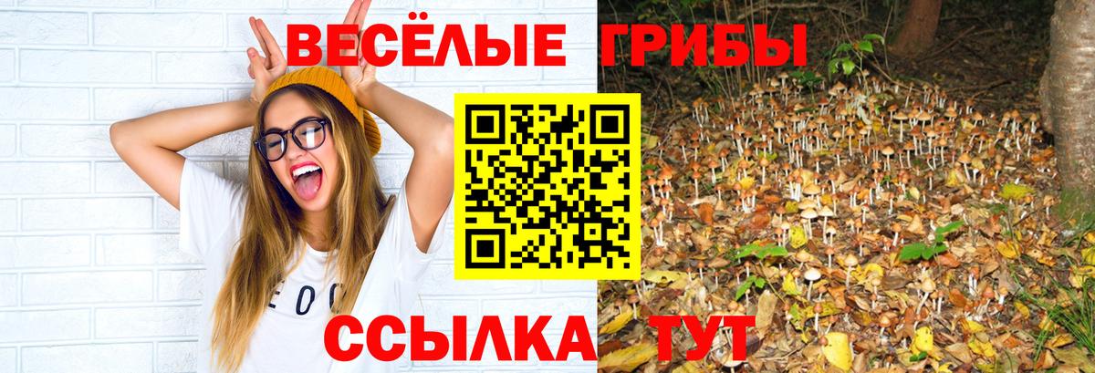 наркота  Вход с VPN  Псилоцибиновые грибы Cubensis  Уварово  Галлюциногенные грибы Psilocybine cubensis 
